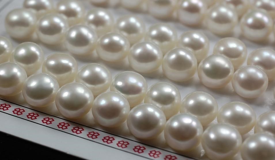 Perły hodowane na sztyfty  6 mm (białe)