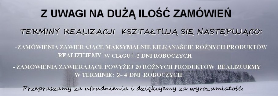 OPÓŻNIENIA zima