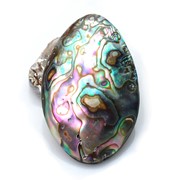 Muszla paua  -  zawieszka ( Z15 )