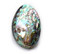 Muszla paua  -  zawieszka ( Z14 )