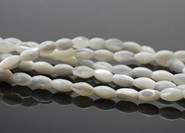 Muszla biała oliwki - sznur