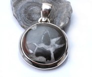 Septarian wisiorek srebro 925  ( W2)